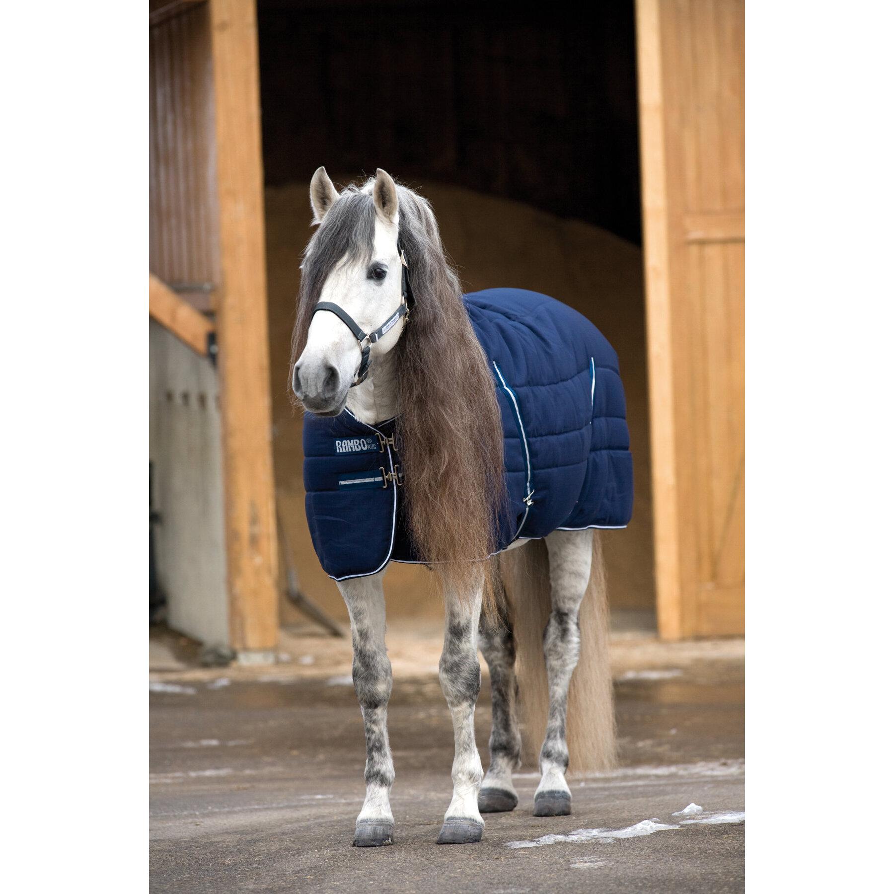 product/h/o/horseware_hwabaaa3na50_navy_1.jpg