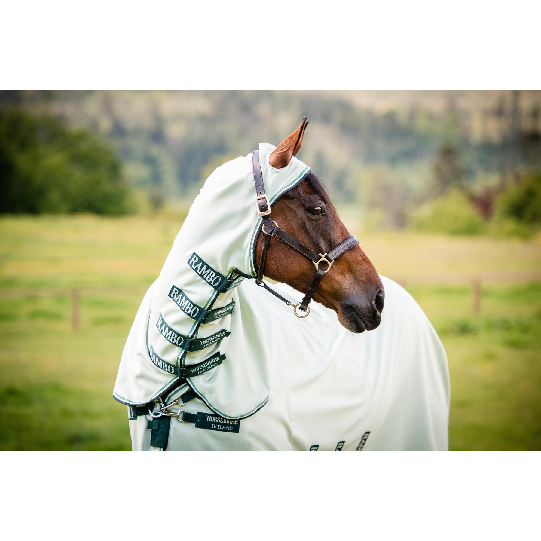 product/h/o/horseware_hwafap70grsa_mag3838926_2.jpg