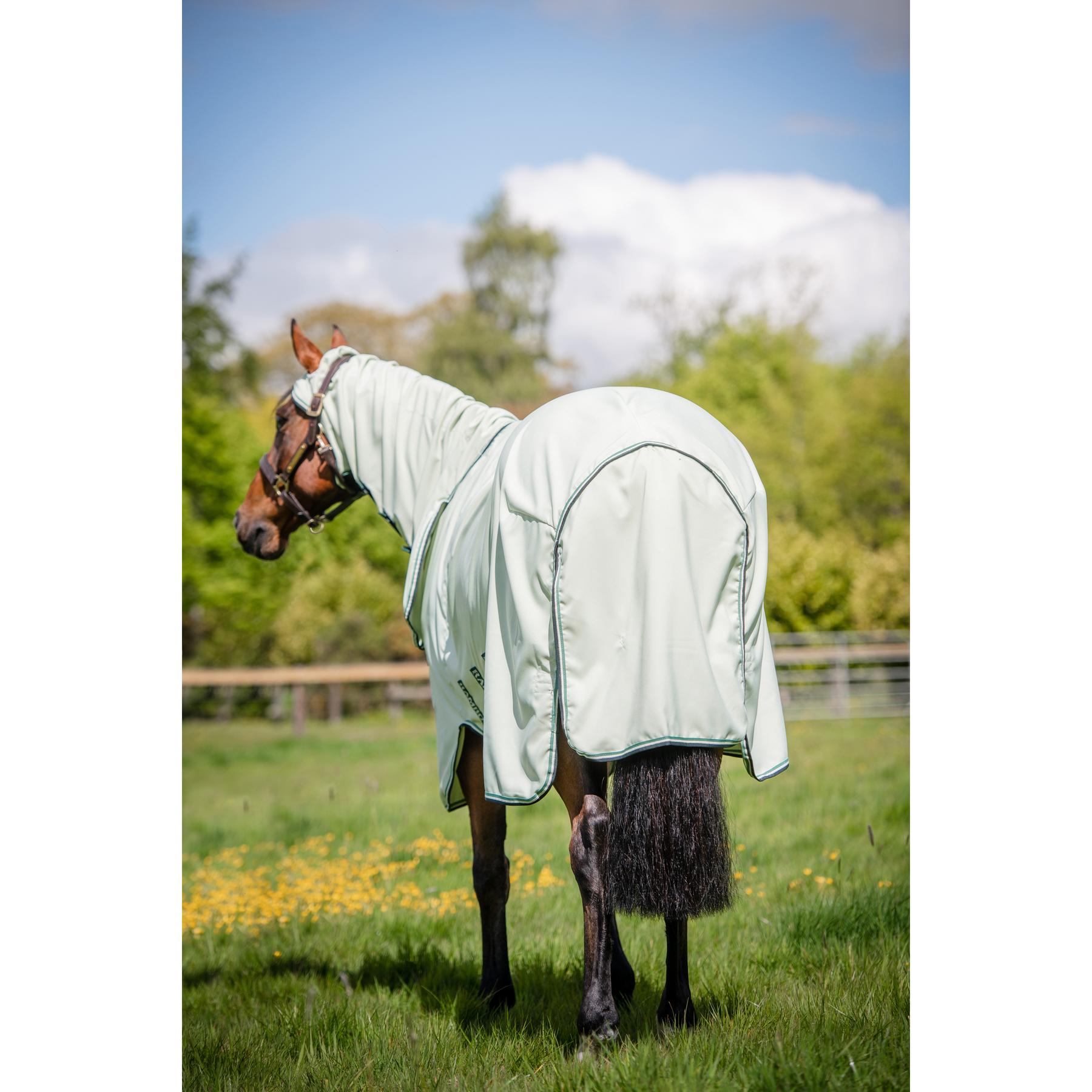 product/h/o/horseware_hwafap70grsa_mag3838926_6.jpg
