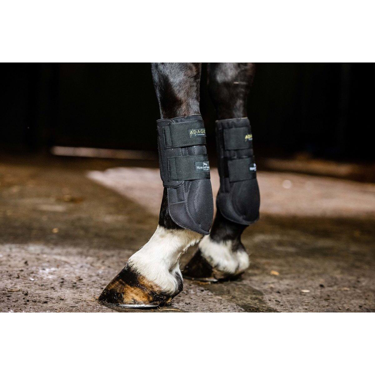 product/h/o/horseware_hwdbht7fbkc_1.jpg