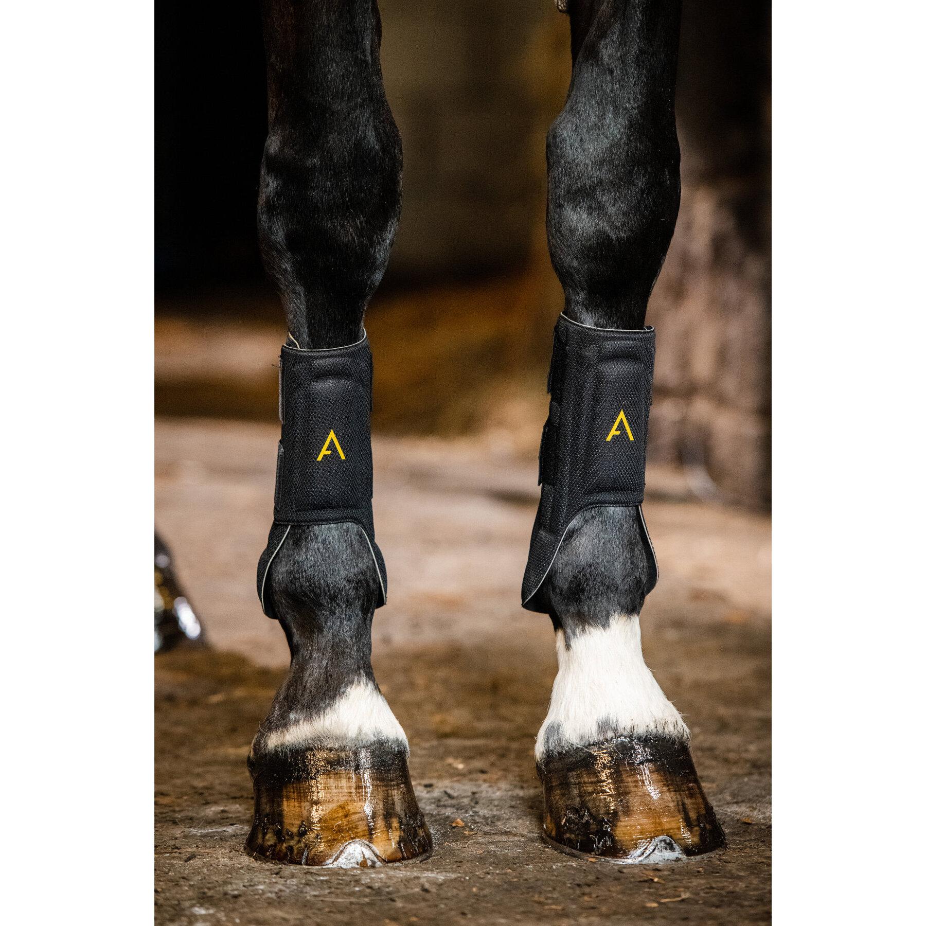 product/h/o/horseware_hwdbht7fbkc_2.jpg