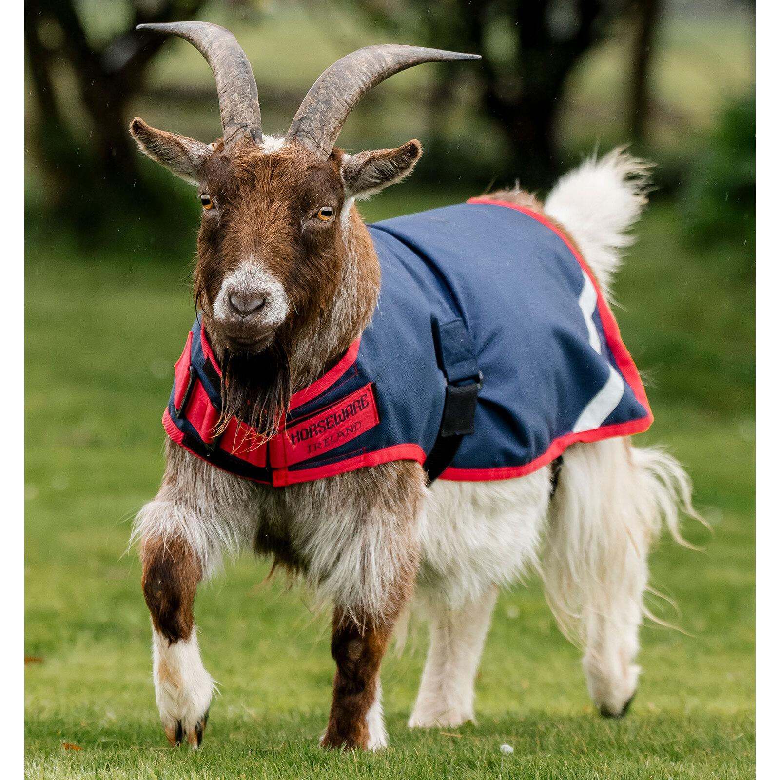 product/h/o/horseware_rahrc2-br00-la_navy-red_1.jpg