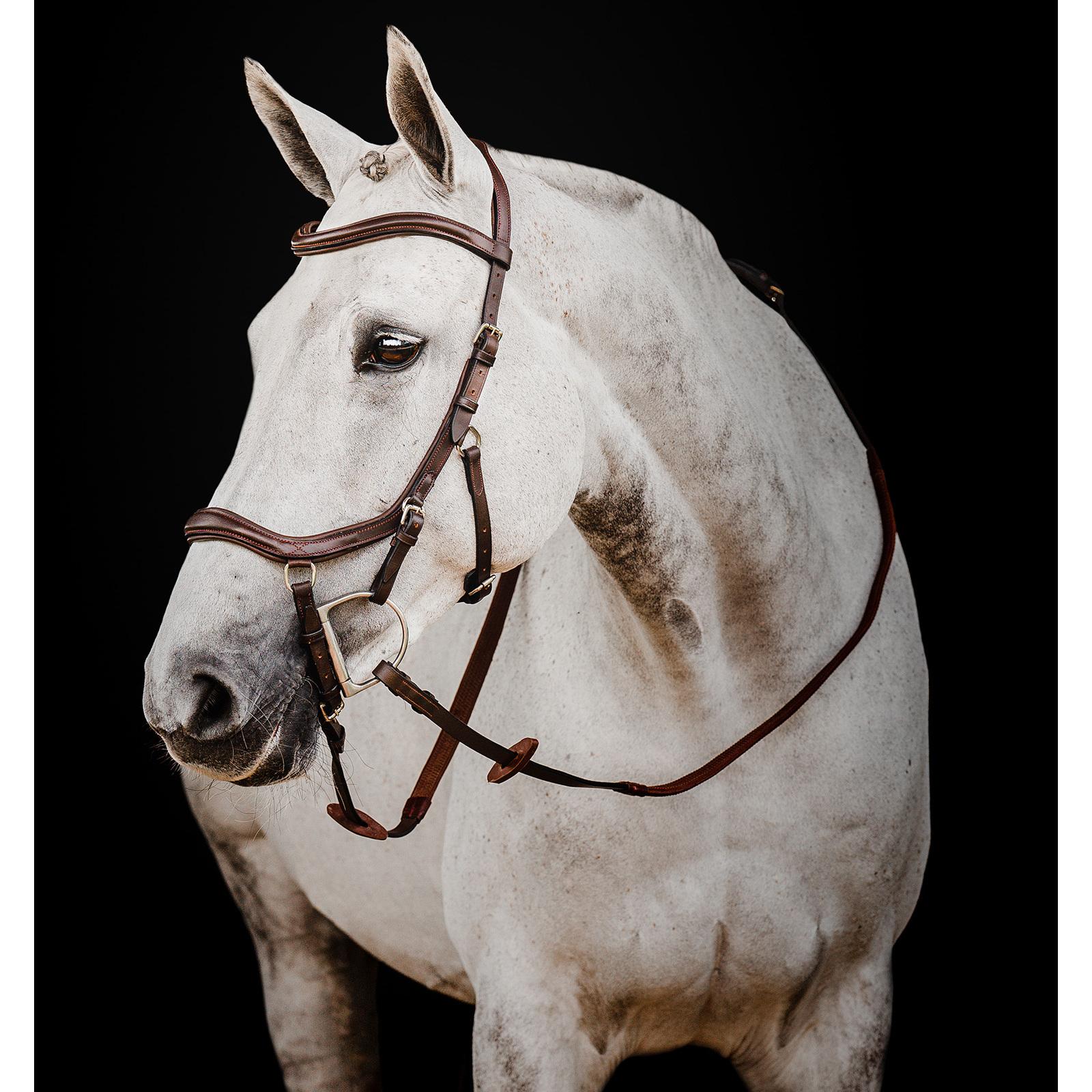 product/h/o/horseware_sbmen1-nab0-co_dark-havana_1.jpg