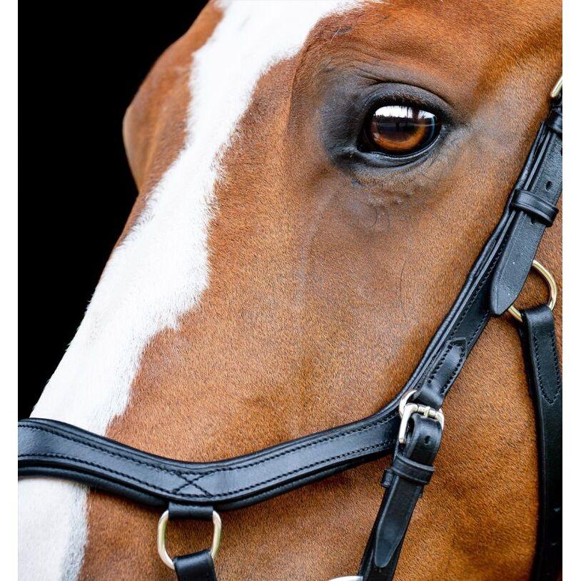 product/h/o/horseware_sbmom0-k000_1.jpg