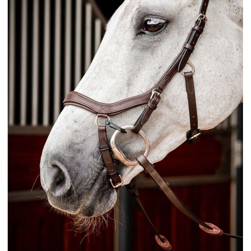 product/h/o/horseware_sbmom0-nab0_2.jpg