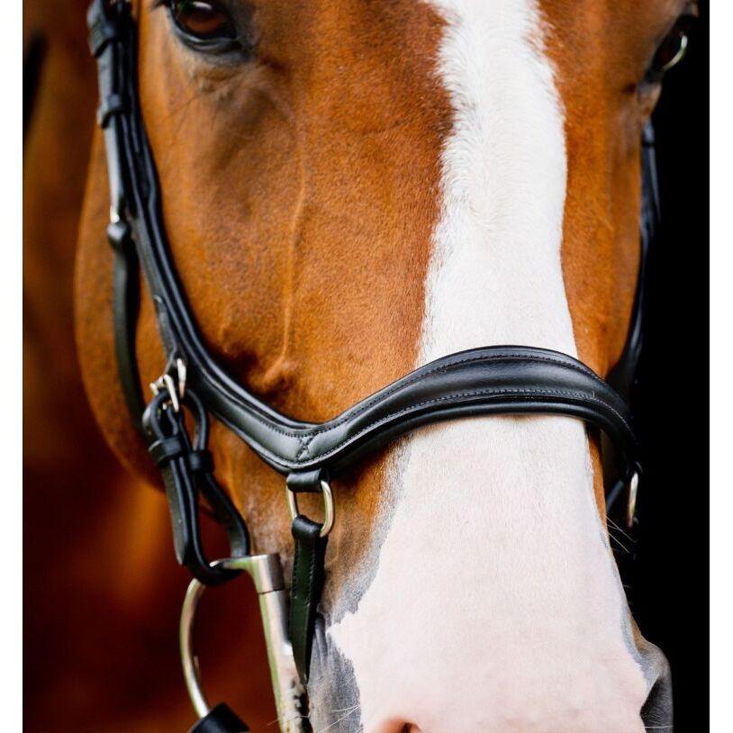 product/h/o/horseware_sbmum0-k000_1.jpg