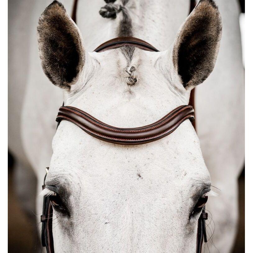 product/h/o/horseware_sbmum0-nab0_1.jpg