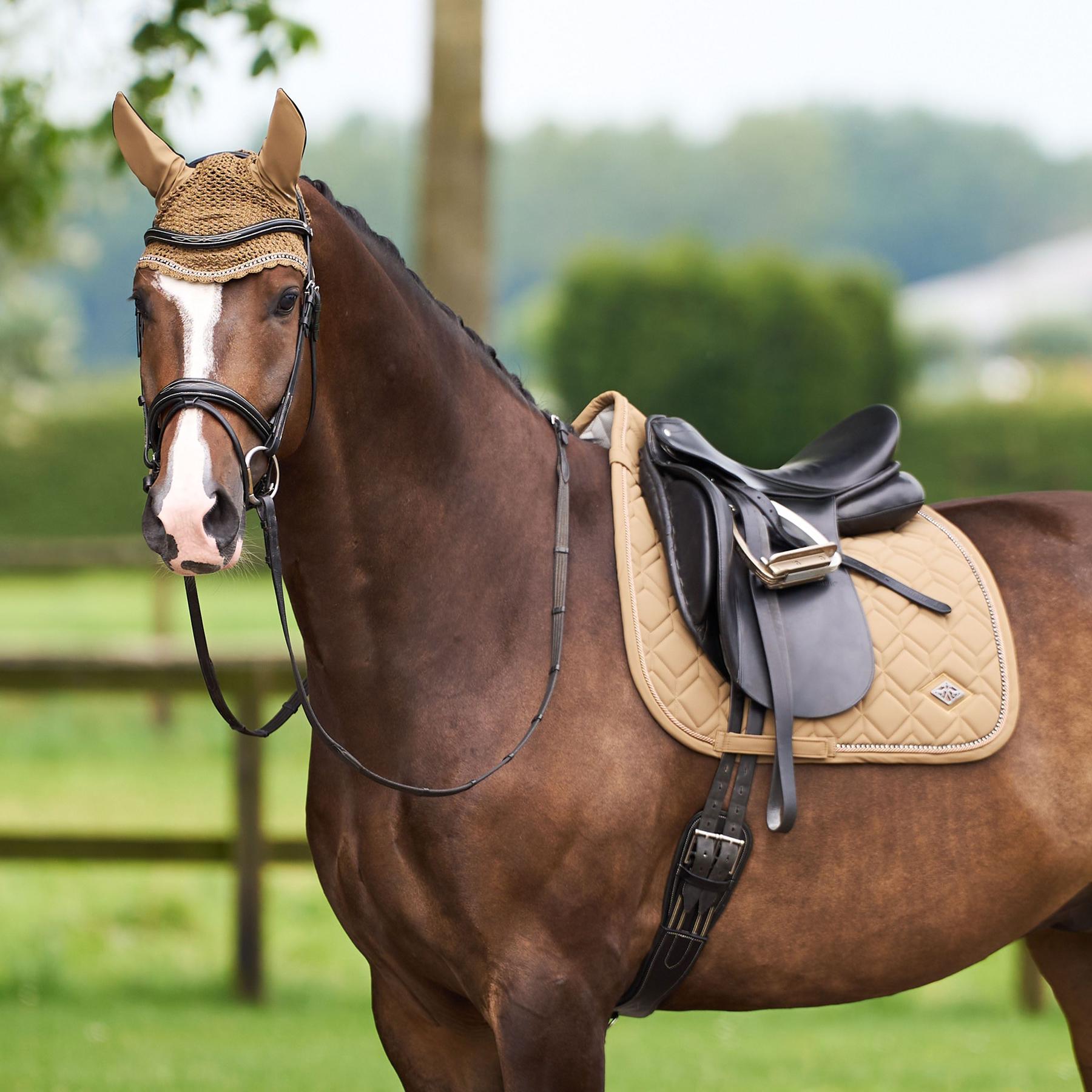 product/h/v/hv-polo_0802093501-8095_straw_3.jpg