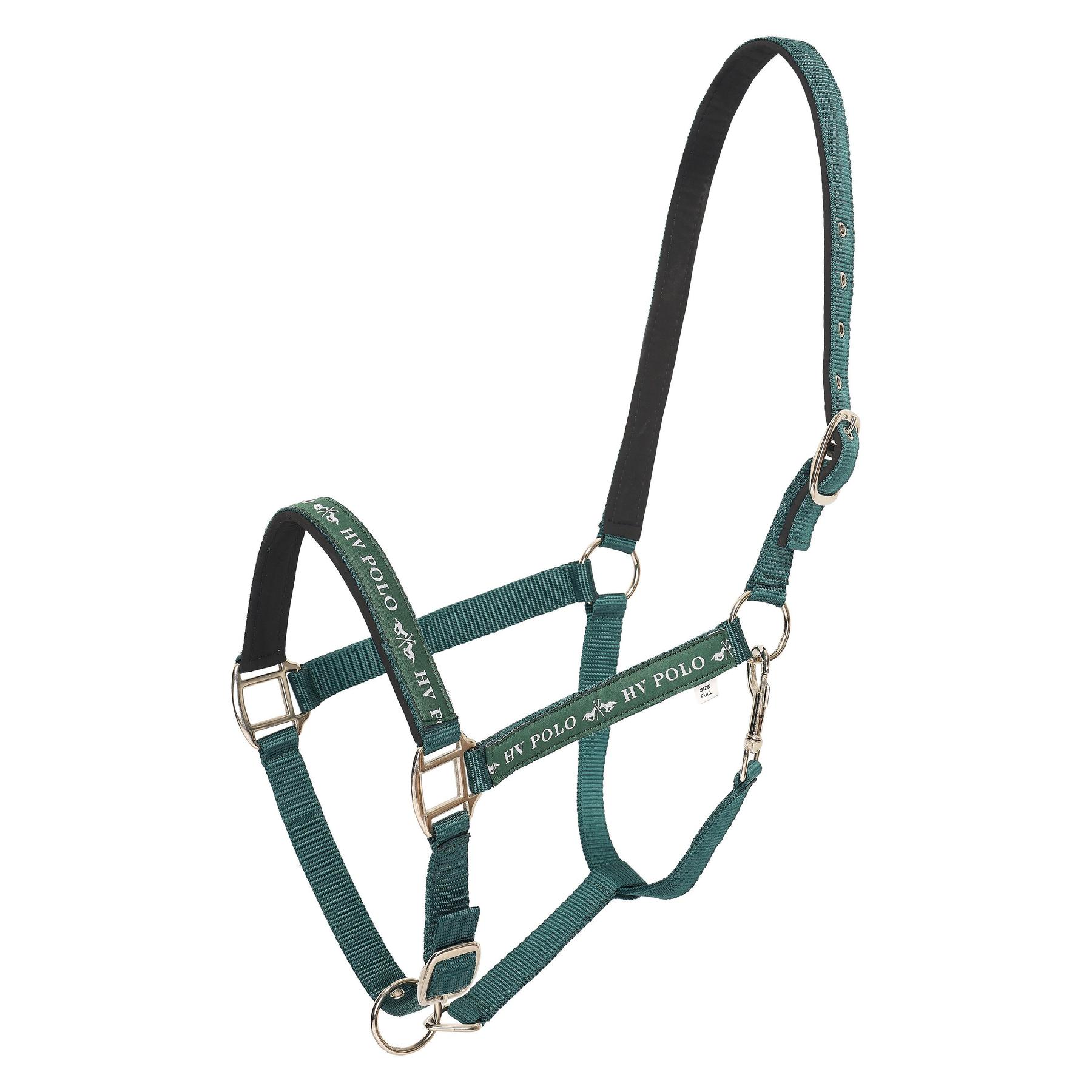 product/h/v/hv-polo_1601093600-6130_duck-green_1.jpg