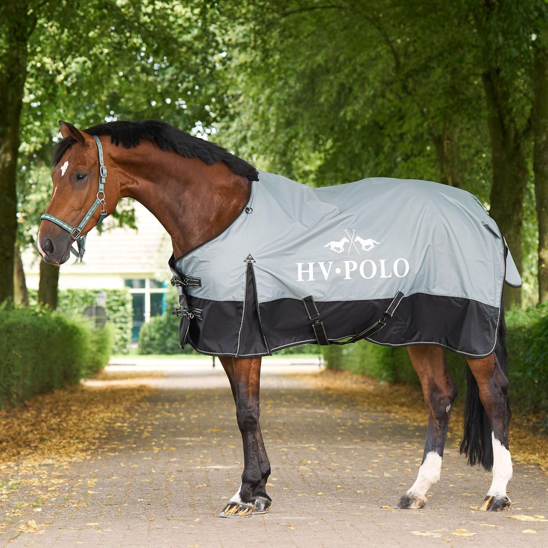 product/h/v/hv-polo_2402093650-6129_greenery_1.jpg