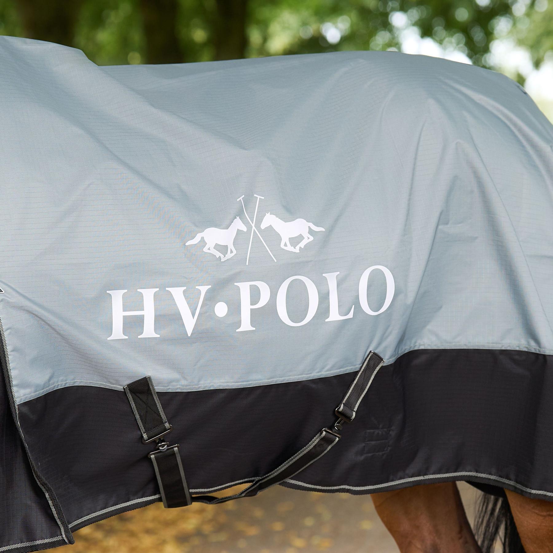 product/h/v/hv-polo_2402093650-6129_greenery_2.jpg