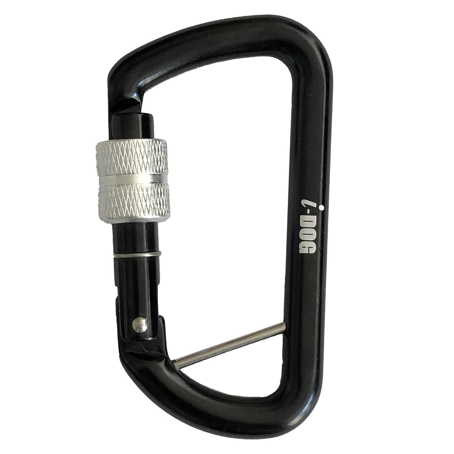 product/i/-/i-dog_i09m2127.jpg