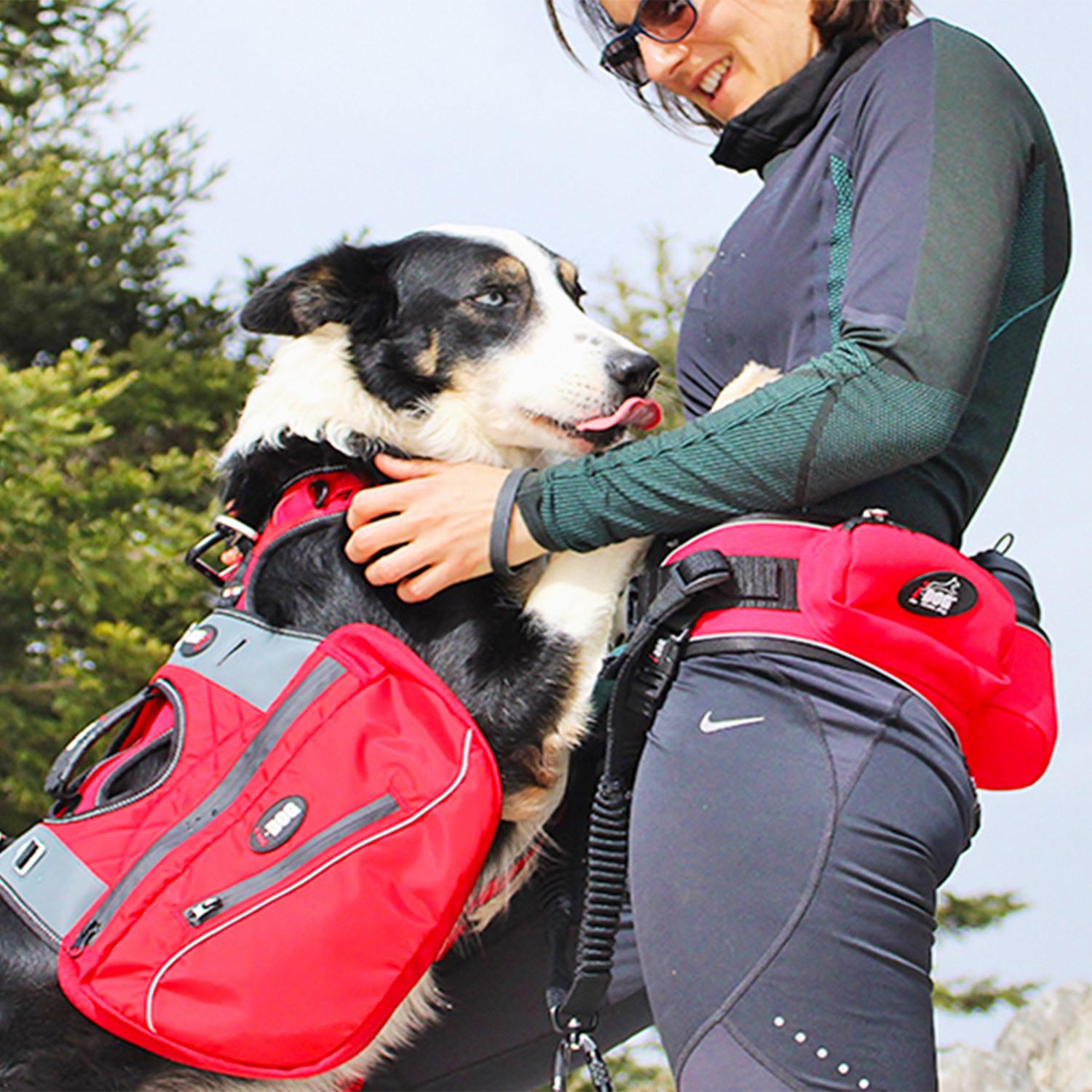product/i/-/i-dog_i10r_4.jpg