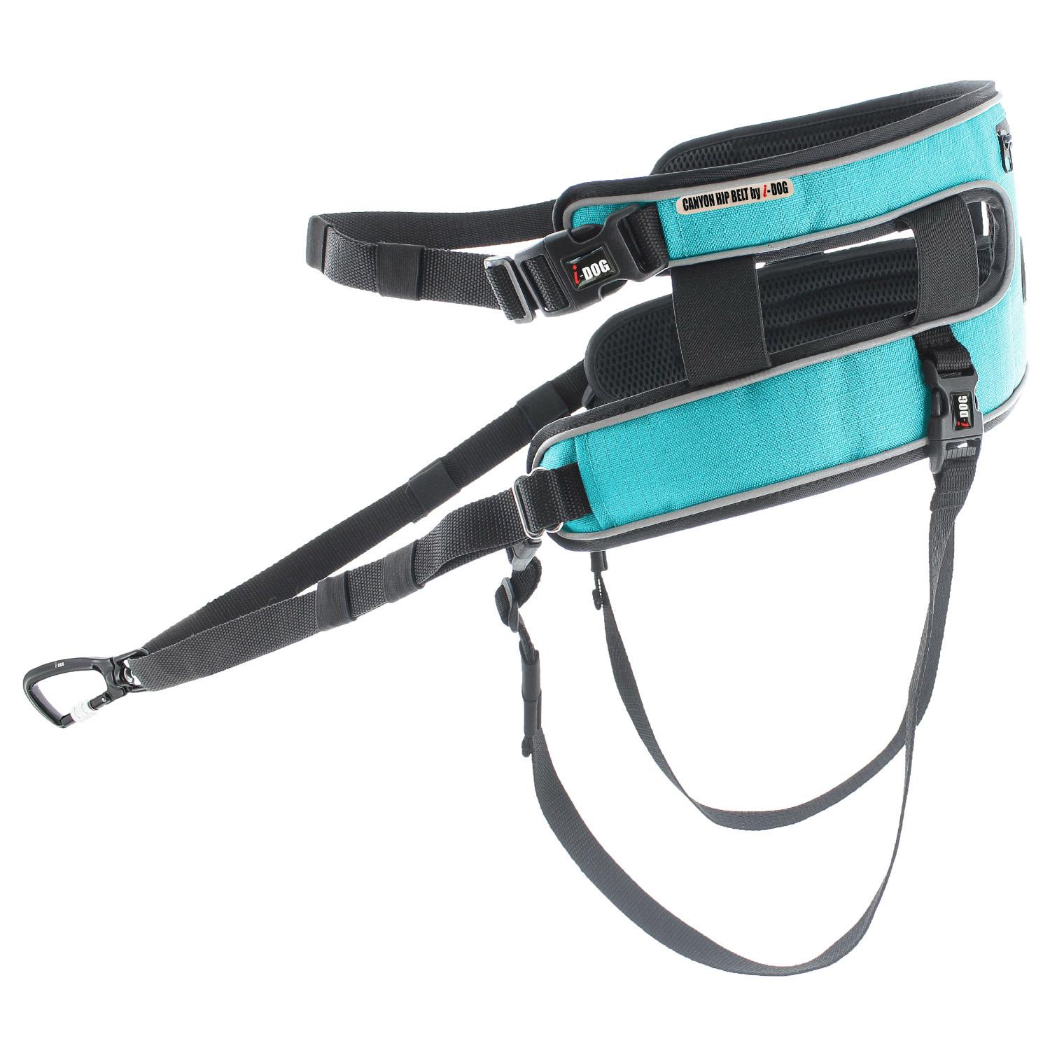product/i/-/i-dog_i13b_bleu_2.jpg