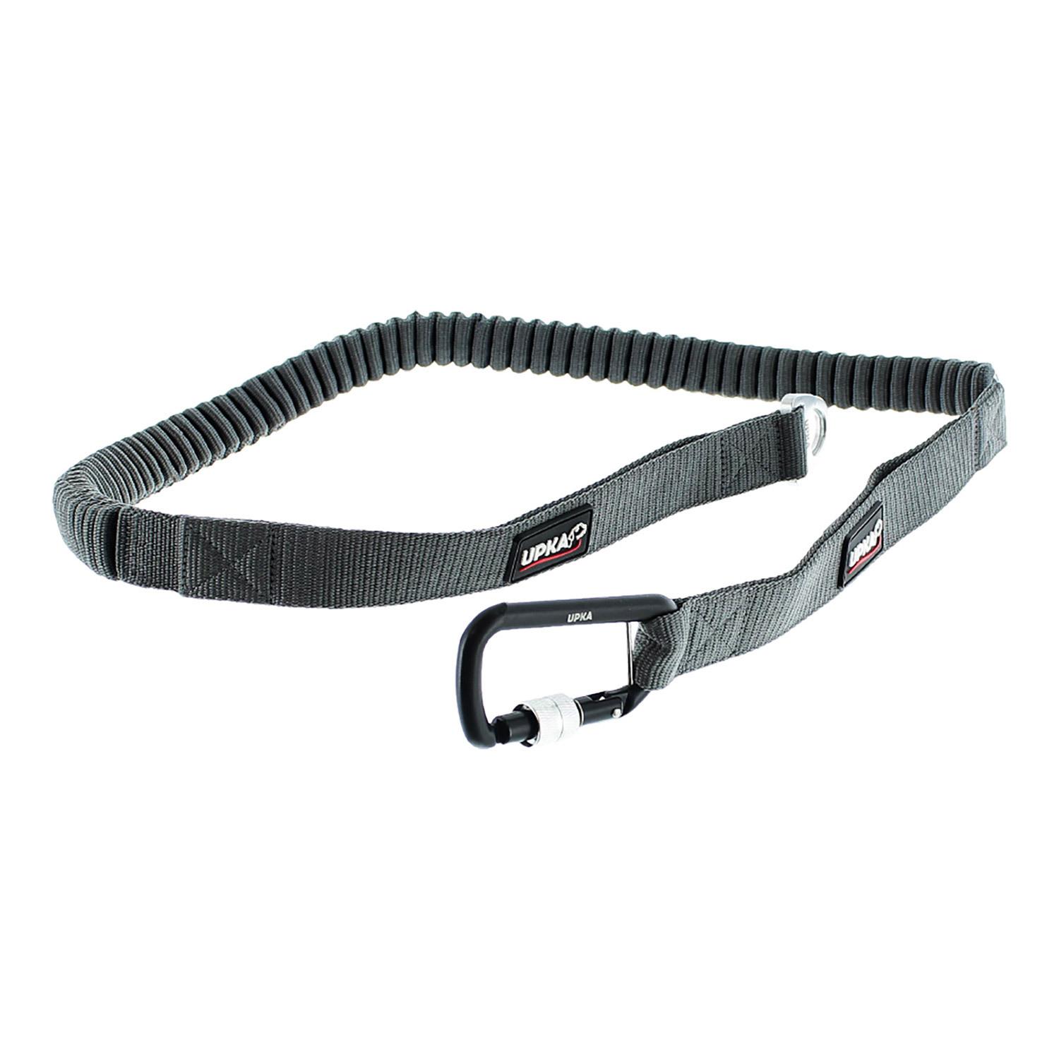 product/i/-/i-dog_u28g.jpg
