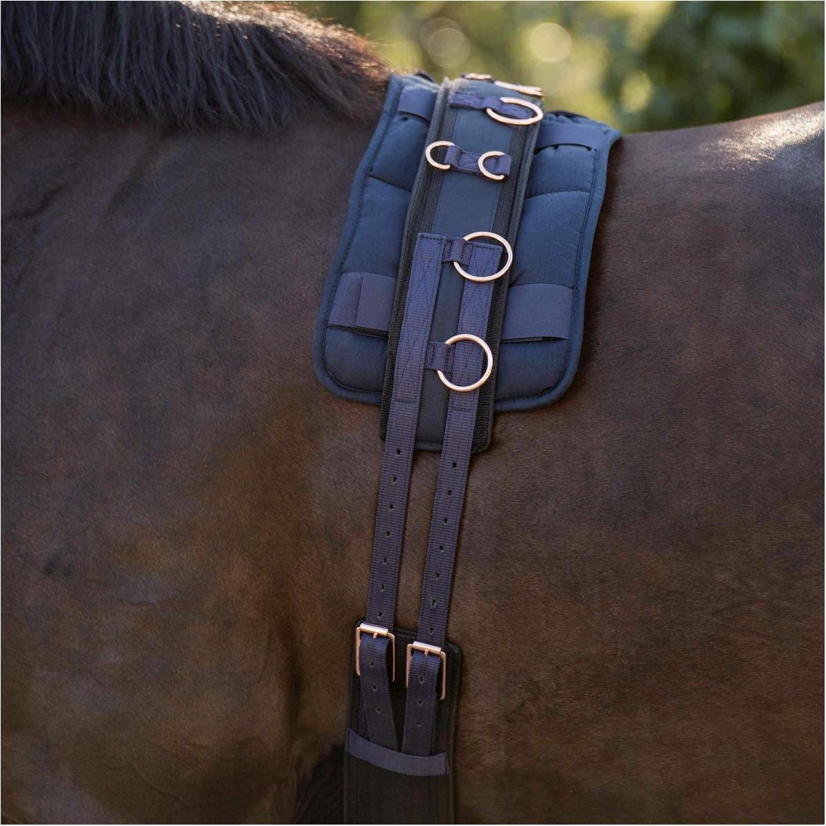 product/i/m/imperial-riding_1607030004-5746_navy-rosegold_2.jpg