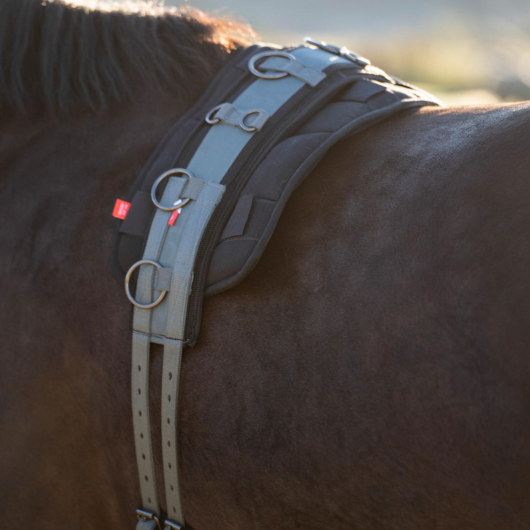 product/i/m/imperial-riding_1607030004-6112_dark-sage_2.jpg