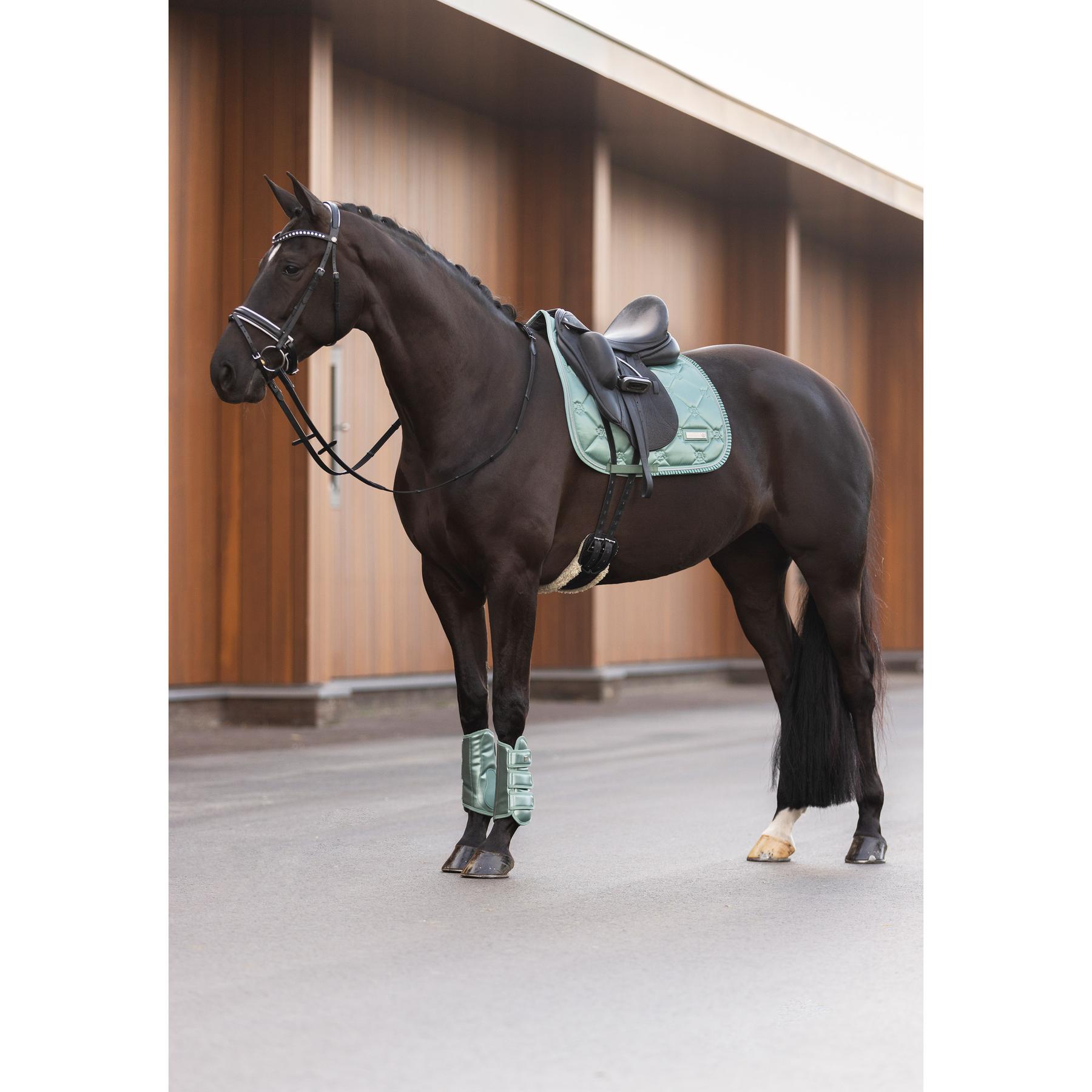 product/i/m/imperial-riding_be10122000-6036_3.jpg