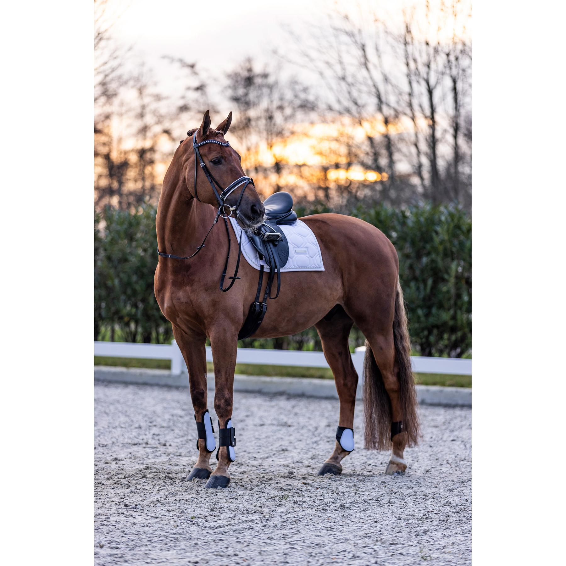 product/i/m/imperial-riding_be10322001-0000_3.jpg