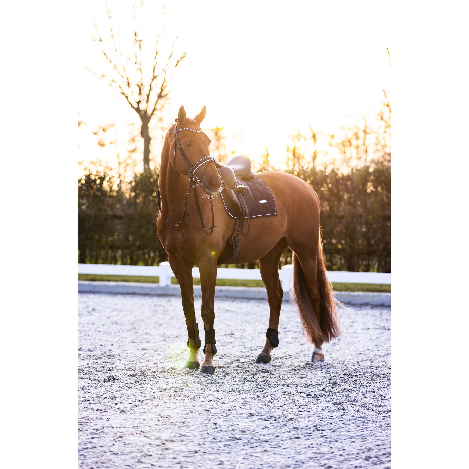 product/i/m/imperial-riding_be10322001-5001_3.jpg