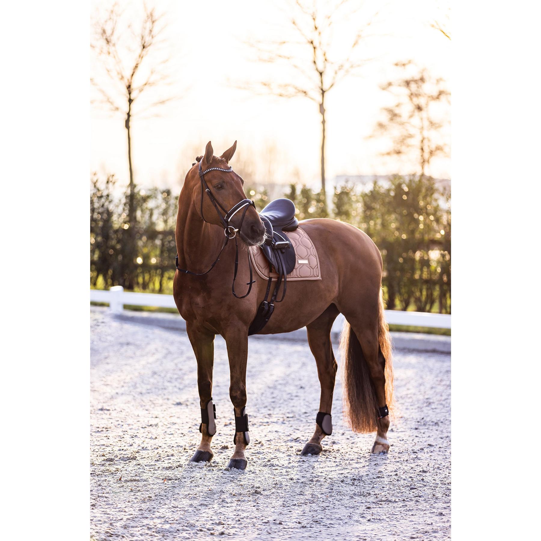 product/i/m/imperial-riding_be70322000-8043_cappuccino_2.jpg