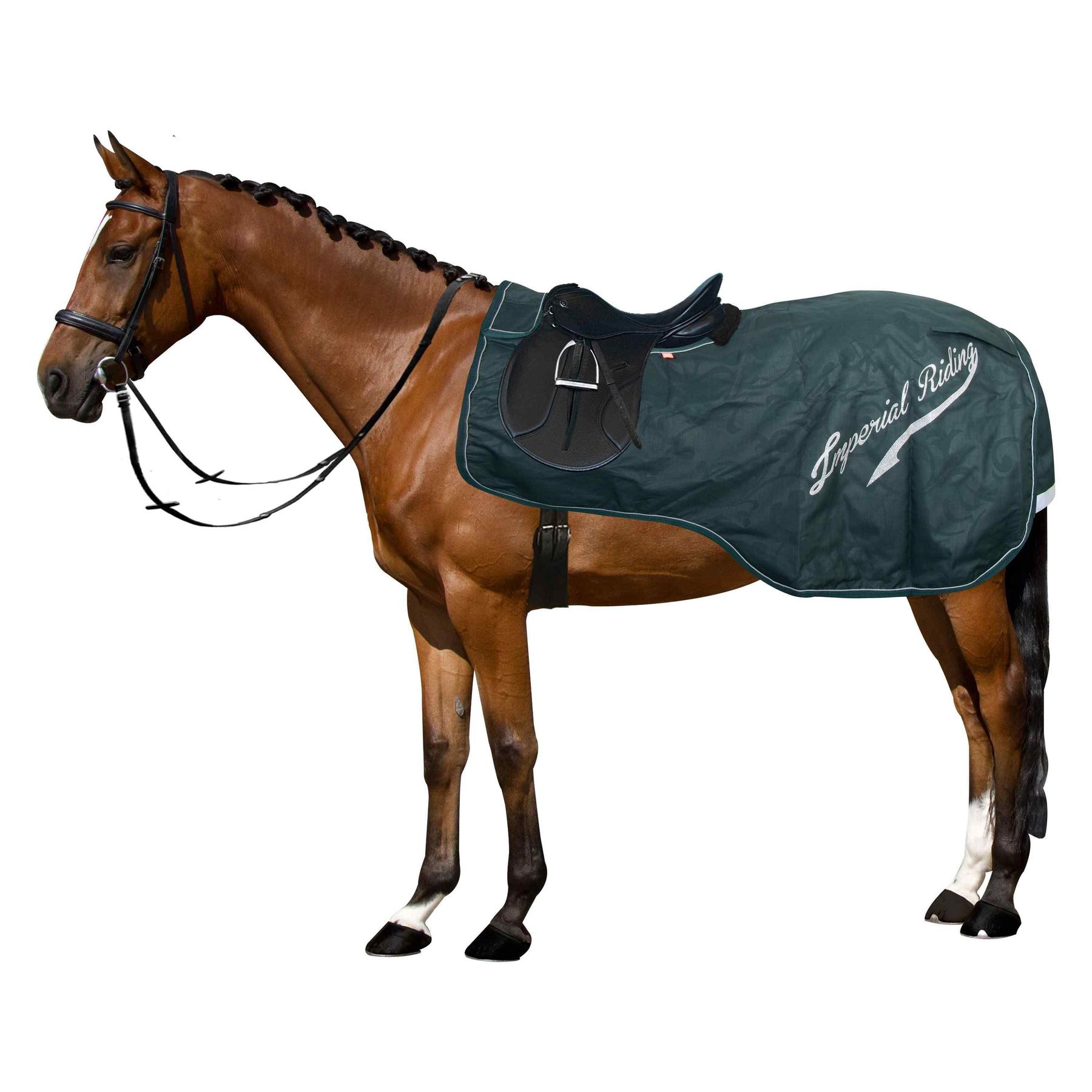 product/i/m/imperial-riding_de45314002-6080_forest-green_1.jpg