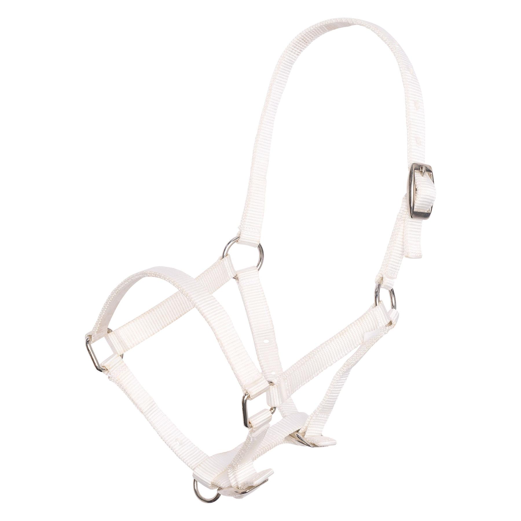 product/i/m/imperial-riding_ha46500000-0001_white_1.jpg
