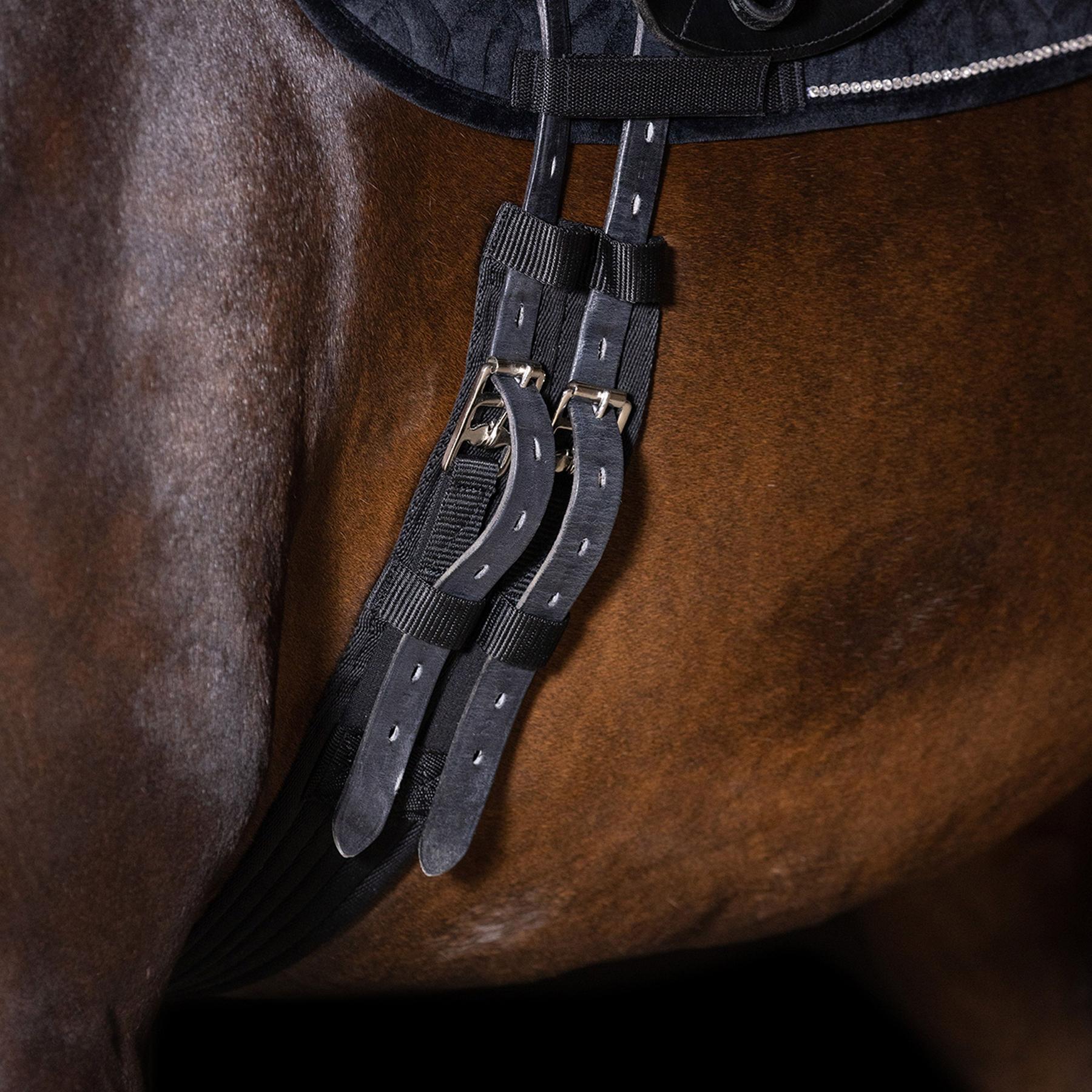 product/i/m/imperial-riding_zt53123002-9000_black_2.jpg