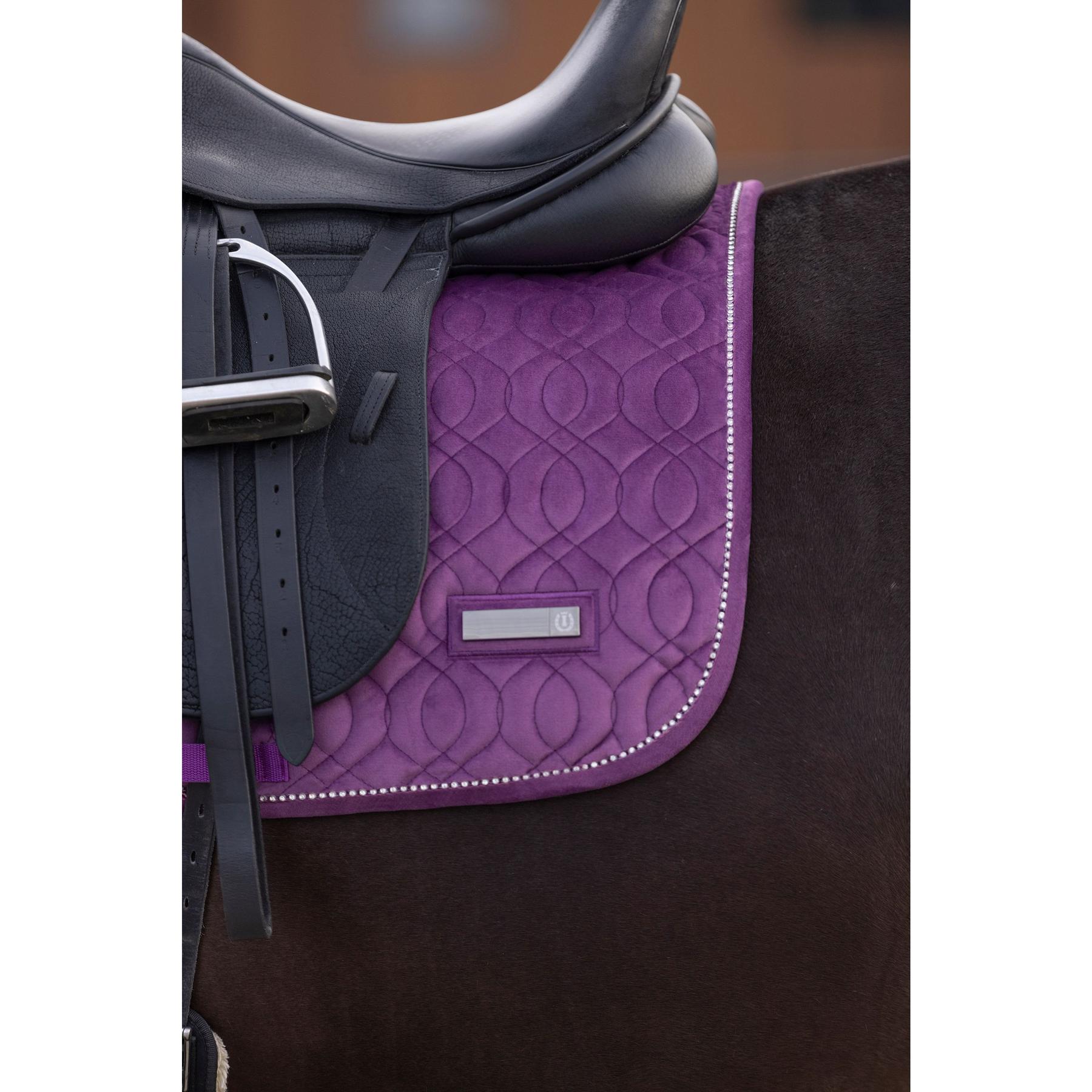 product/i/m/imperial-riding_zt73322001-4060_3.jpg
