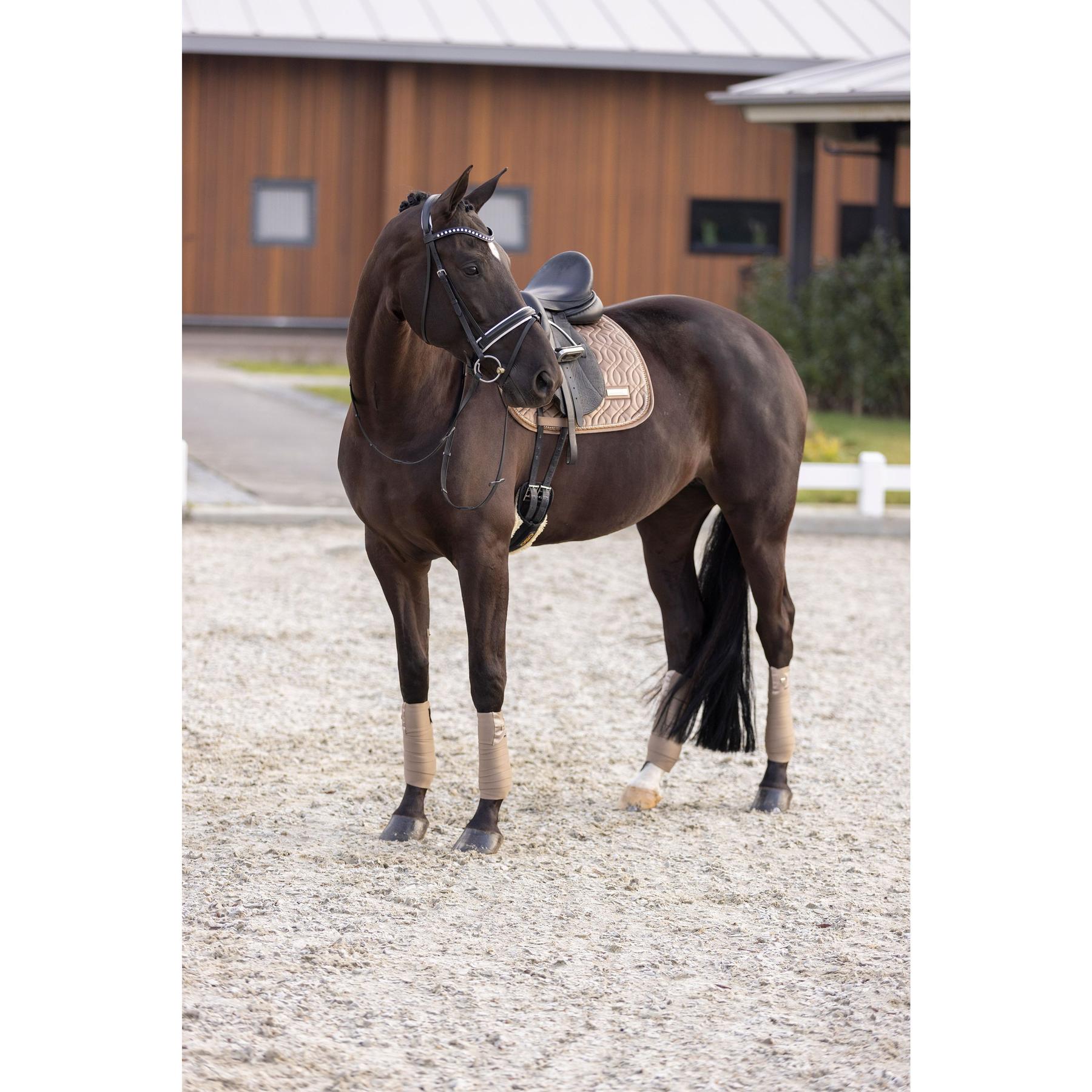 product/i/m/imperial-riding_zt73322001-8043_2.jpg