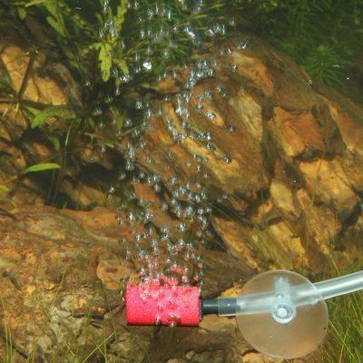 product/j/b/jbl-aqua_jb1244_multicolore_1.jpg