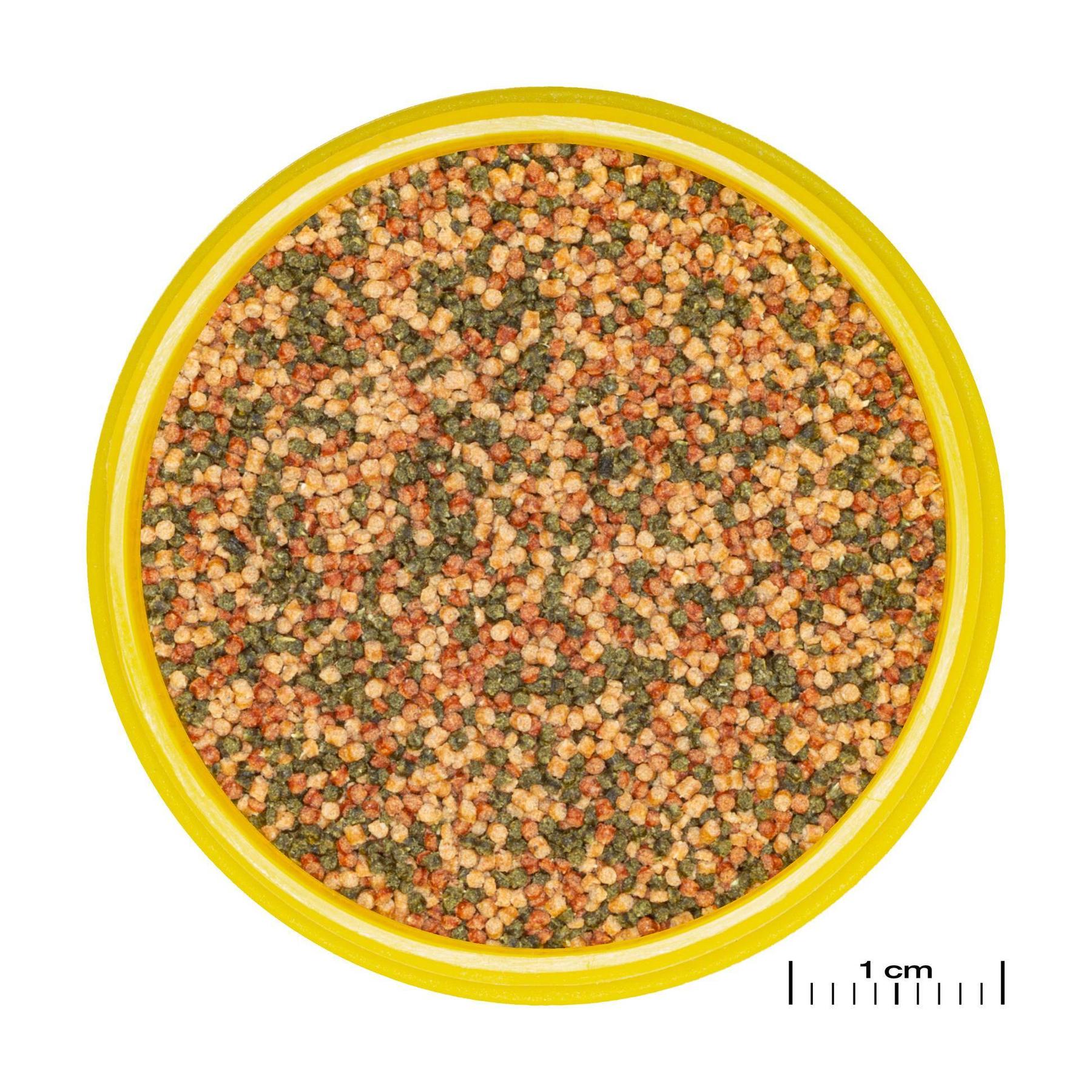 product/j/b/jbl_jb311200_marron-verte_1.jpg
