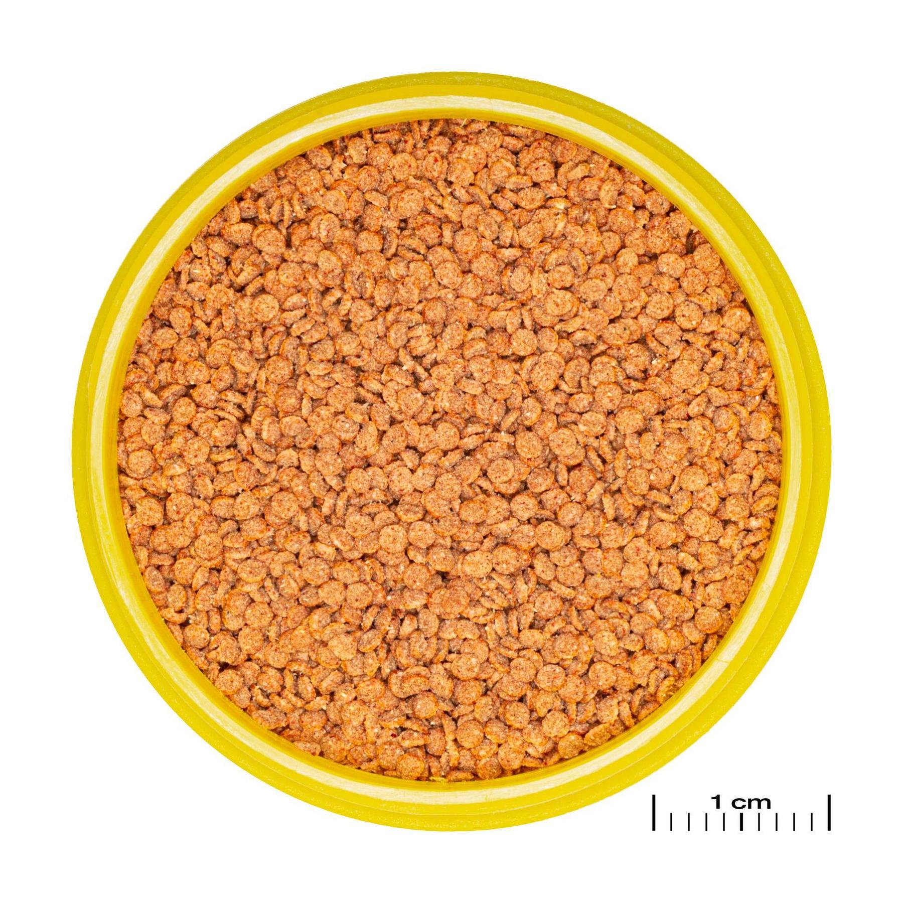 product/j/b/jbl_jb313070_marron_1.jpg