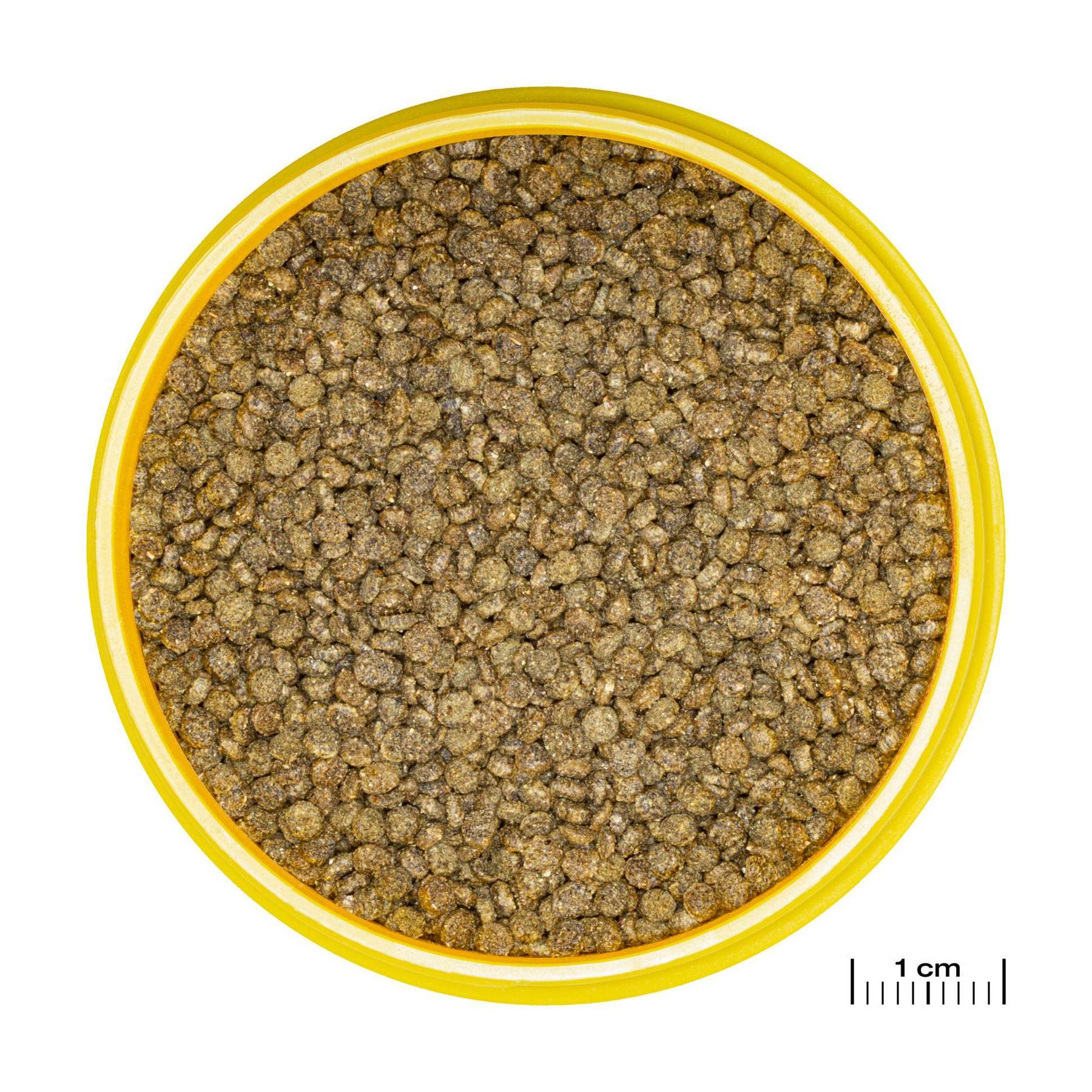product/j/b/jbl_jb313090_marron_1.jpg