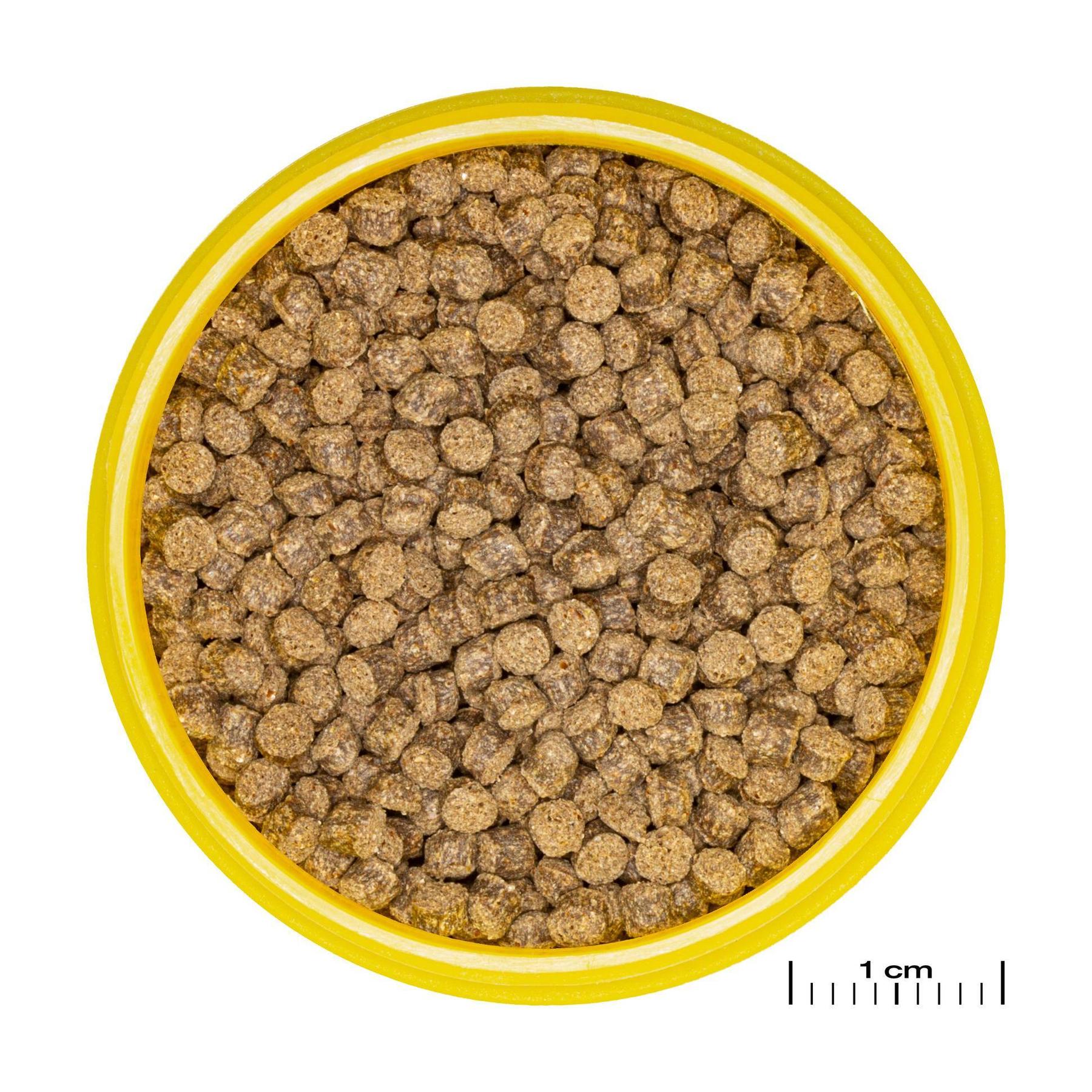 product/j/b/jbl_jb313260_marron_1.jpg