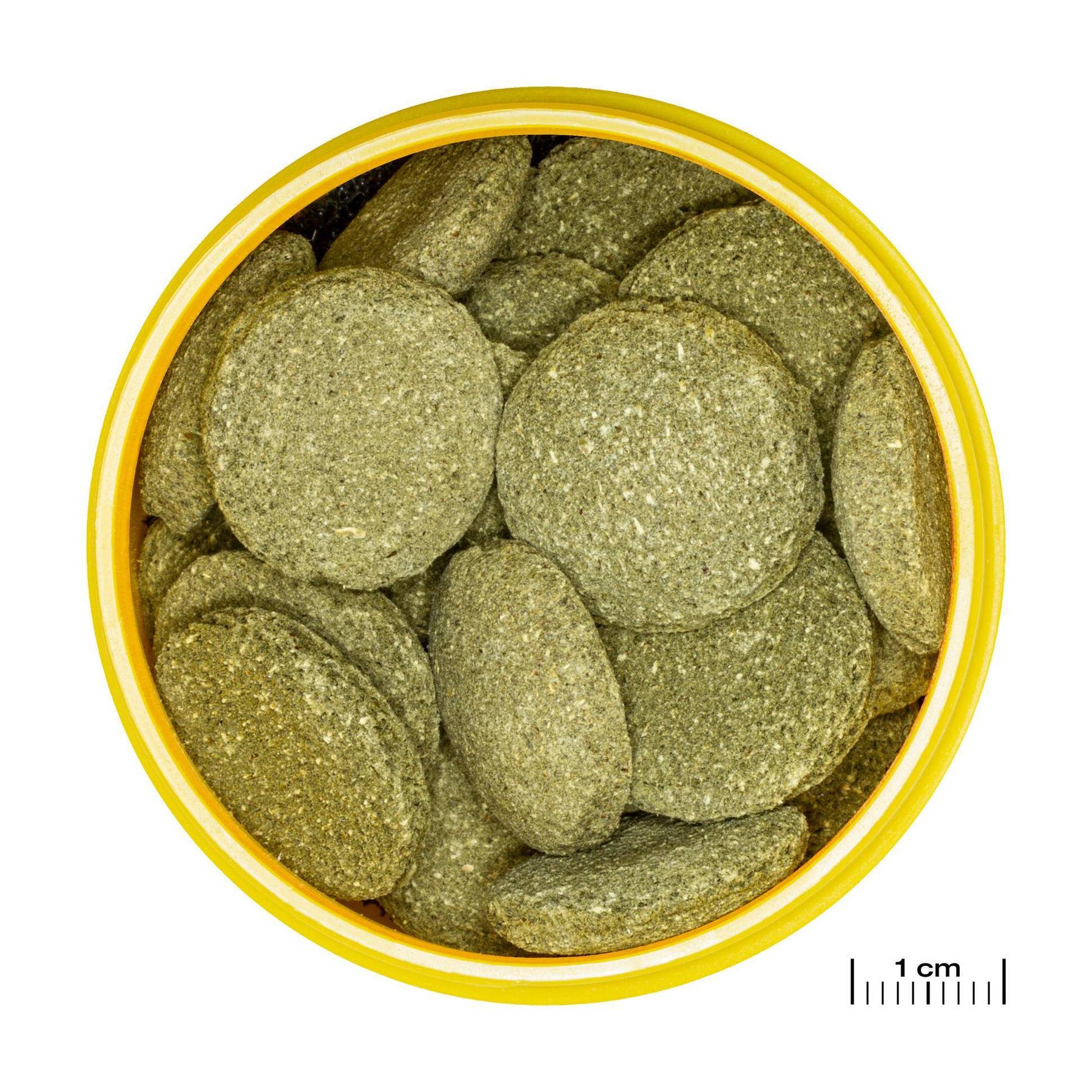 product/j/b/jbl_jb313380_vert_1.jpg