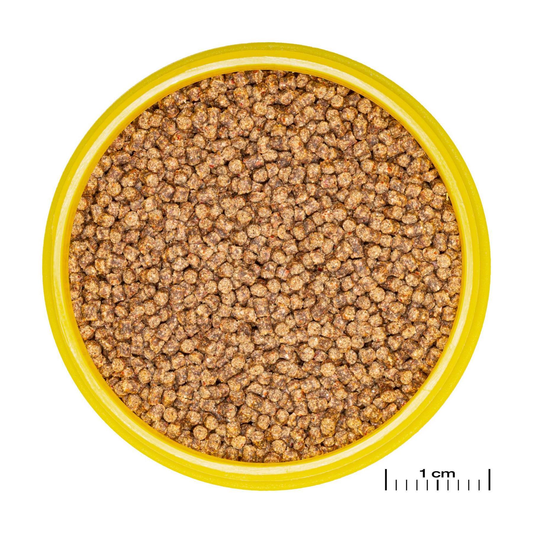 product/j/b/jbl_jb313520_marron_1.jpg