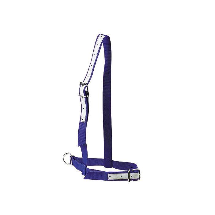 product/k/a/kamer_121107006_bleu_1.jpg