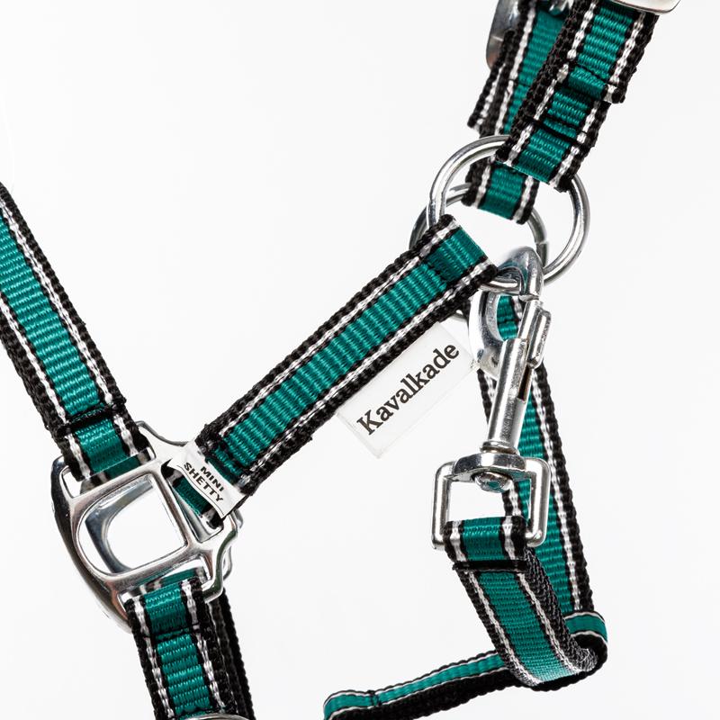 product/k/a/kavalkade_290230853002_2.jpg
