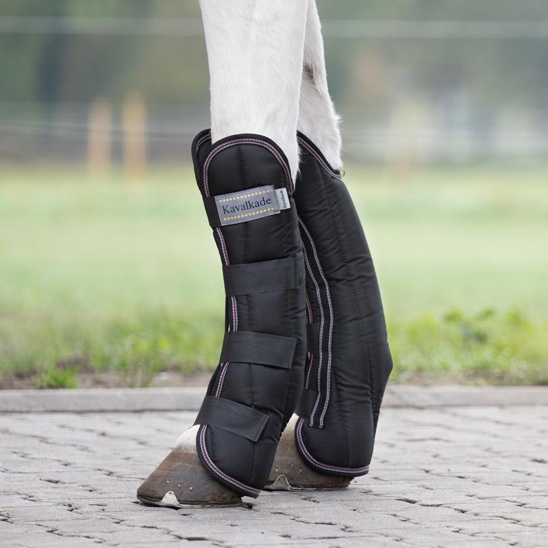 product/k/a/kavalkade_307361350200_2.jpg