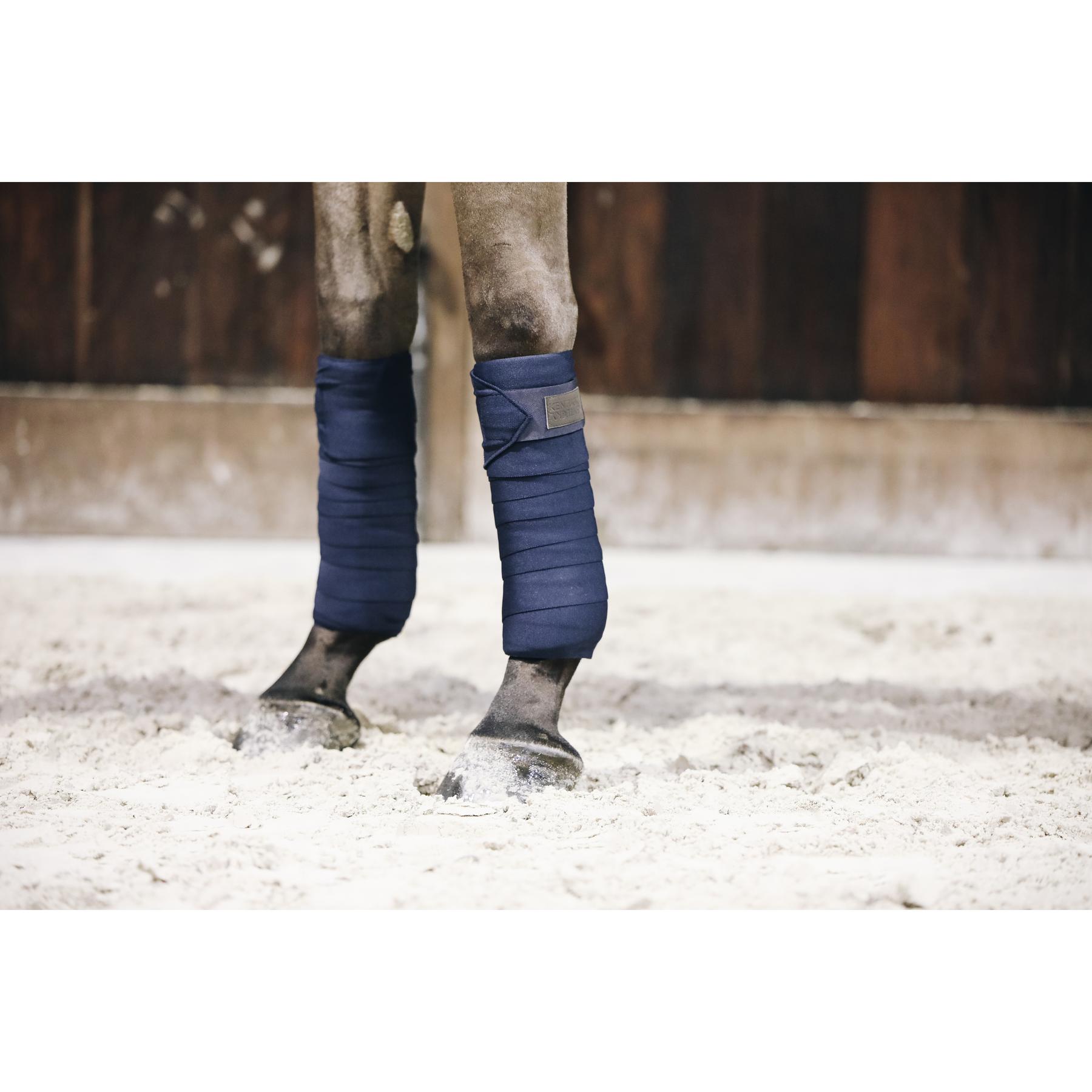 product/k/e/kentucky_42110-03-f_2.jpg
