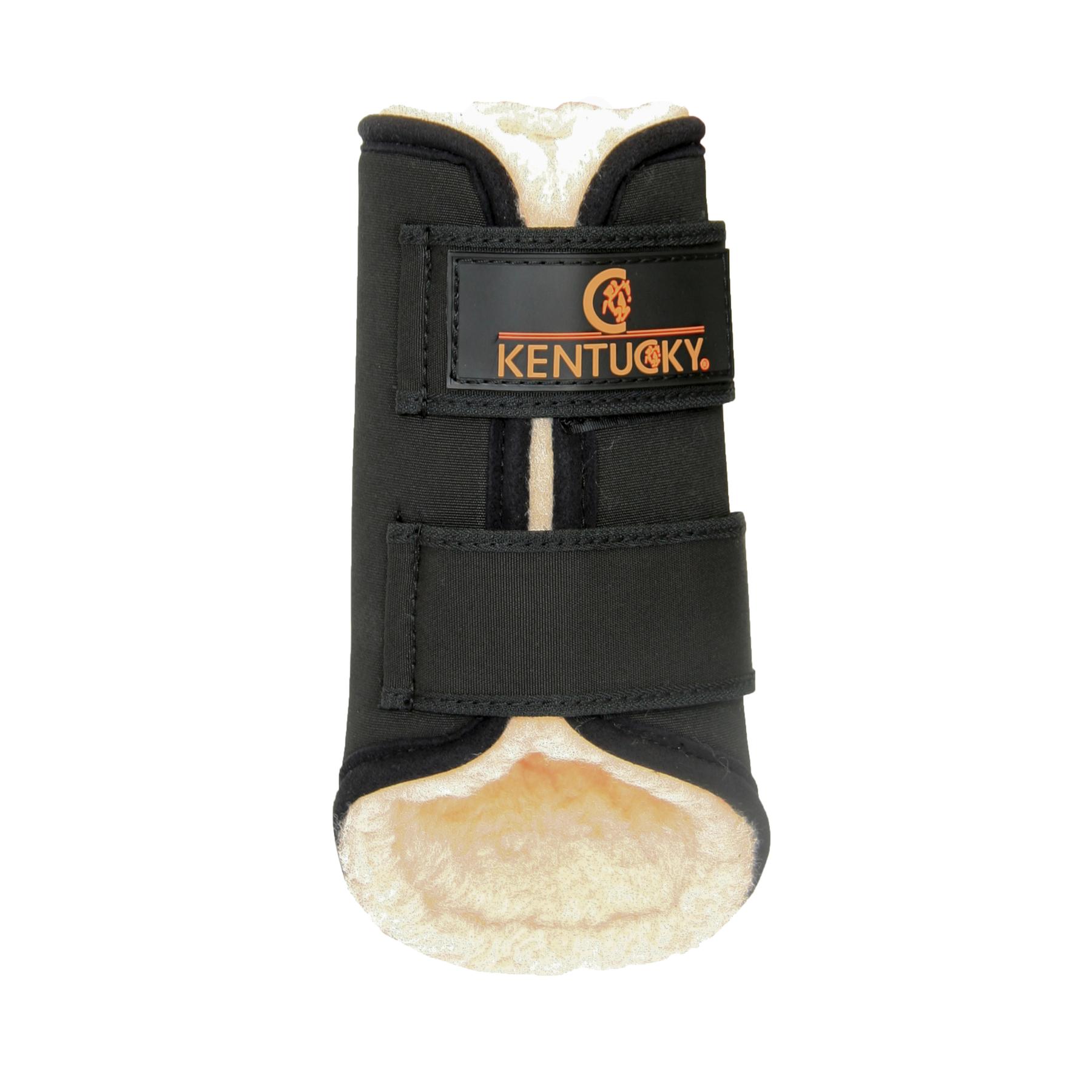 product/k/e/kentucky_42302-01-f_1.jpg