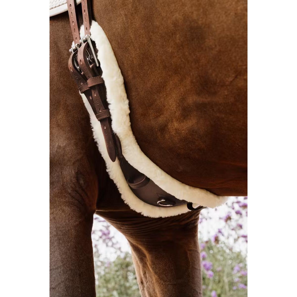 product/k/e/kentucky_42434-05-55_brun_1.jpg
