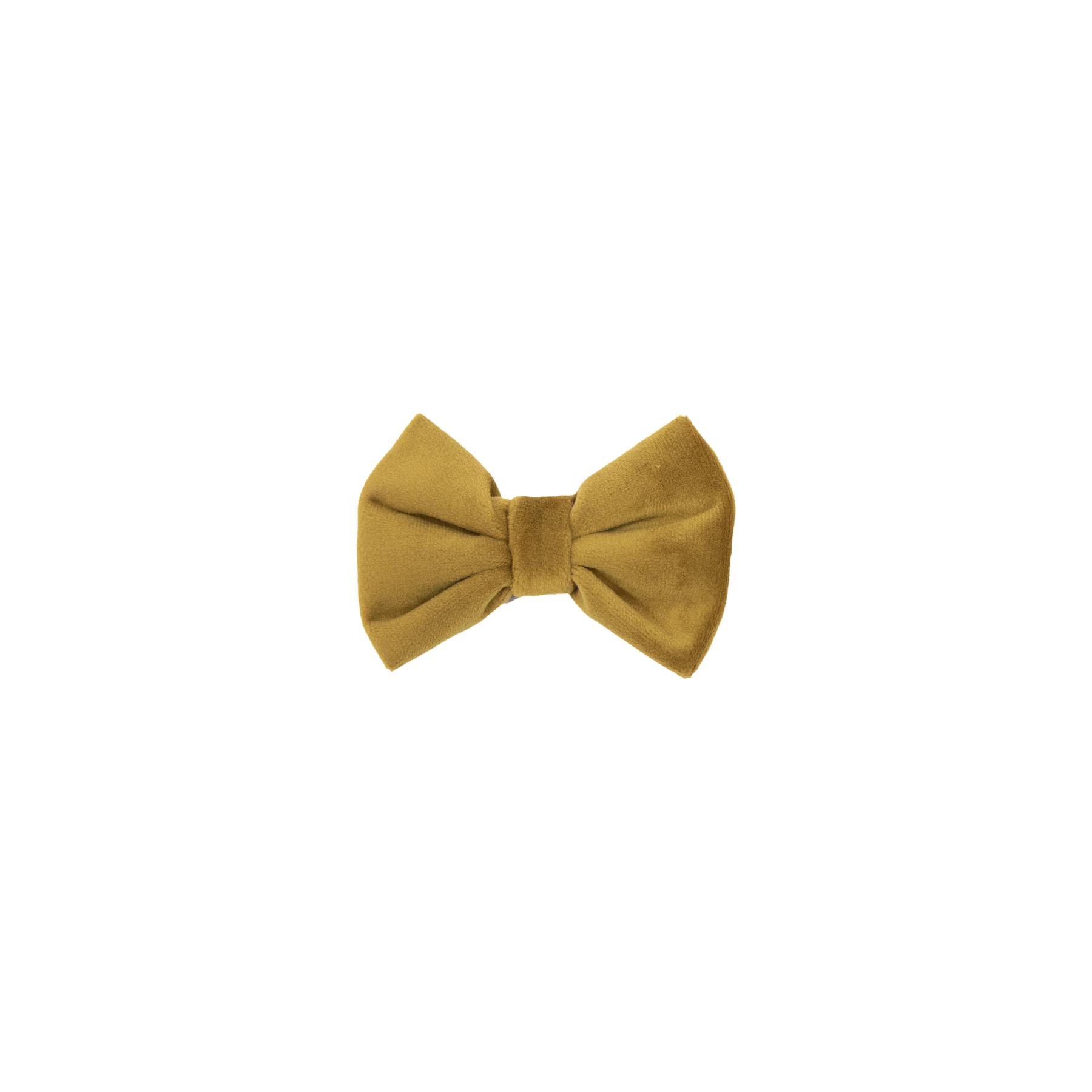 product/k/e/kentucky_42438-44-s.jpg