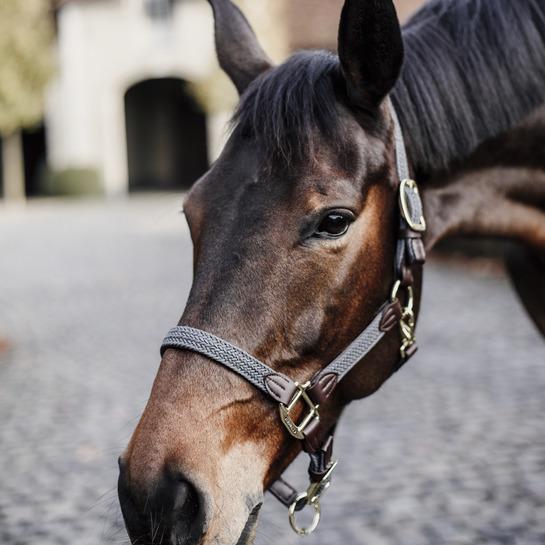product/k/e/kentucky_42516-08-cob_grey_3.jpg