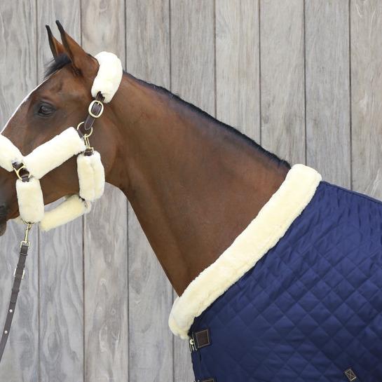 product/k/e/kentucky_42527-05-03_brown_2.jpg