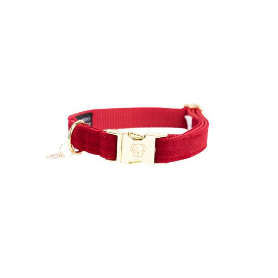 product/k/e/kentucky_42533-13-l_rouge_1.jpg