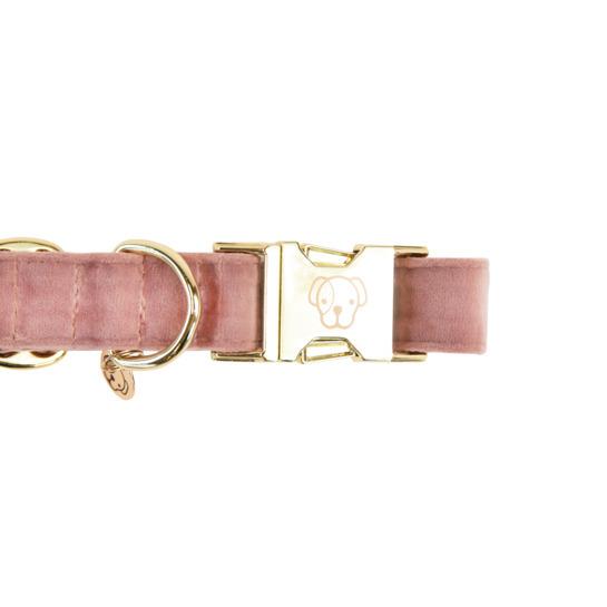 product/k/e/kentucky_42538-10-l_old-rose_2.jpg