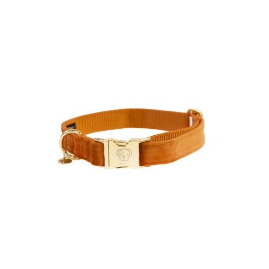 product/k/e/kentucky_42538-45-l_orange_1.jpg