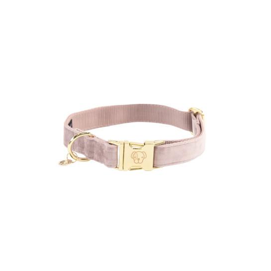 product/k/e/kentucky_42538-50-l_soft-rose_1.jpg